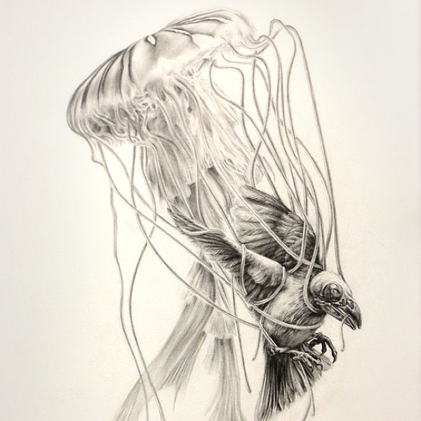抑郁-黑暗的鸟由马丁法西尔在素描铅笔