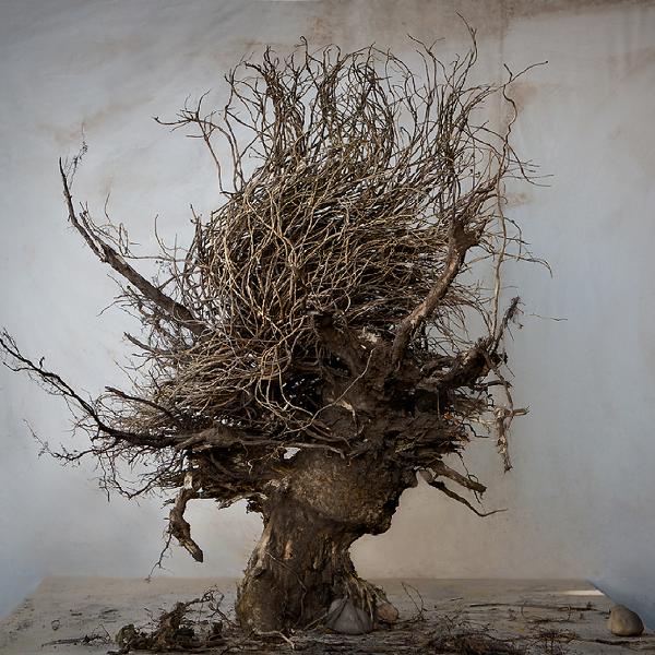 安德里亚斯·休曼的《雕塑木》