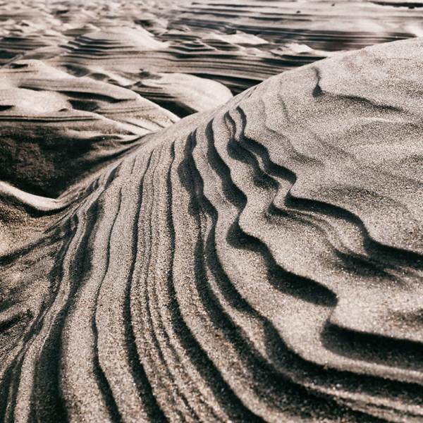 由斯图尔特卡罗尔在摄影移动的海沙丘