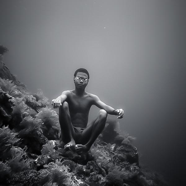 自由潜水由Hengki Koentjoro在摄影数码