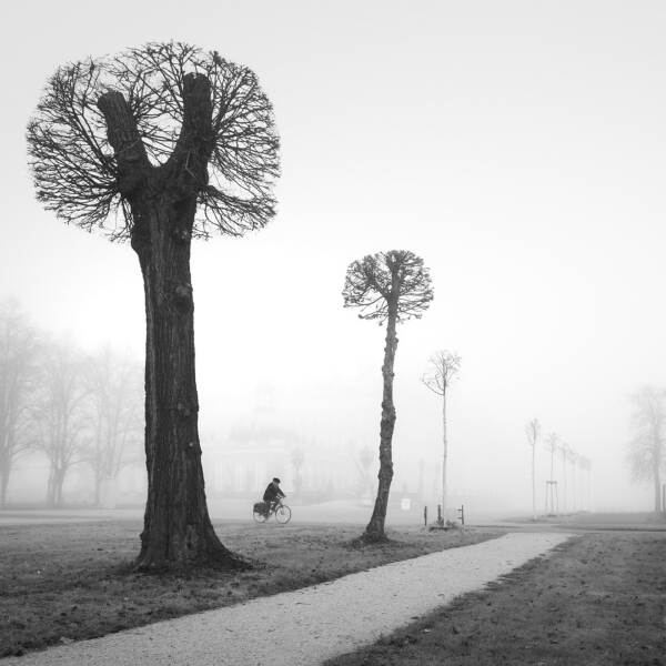 公园Sanssouci 9 -自行车手Bernd Walz在摄影数码