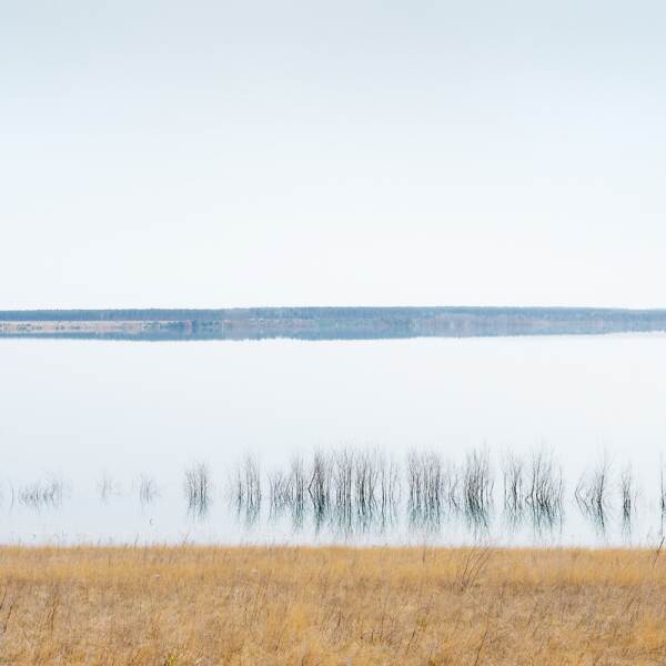 受伤的风景|新湖区-荒凉，由Bernd Walz在摄影数码