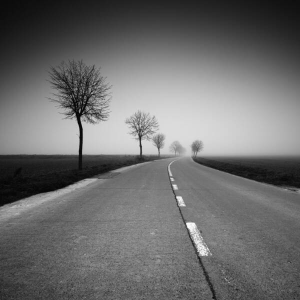 雾的日子，Gérard Verbecelte在摄影数字