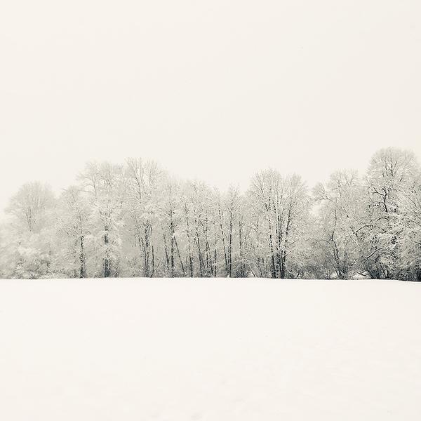 今天下雪由Dorothée Sorin在摄影手机