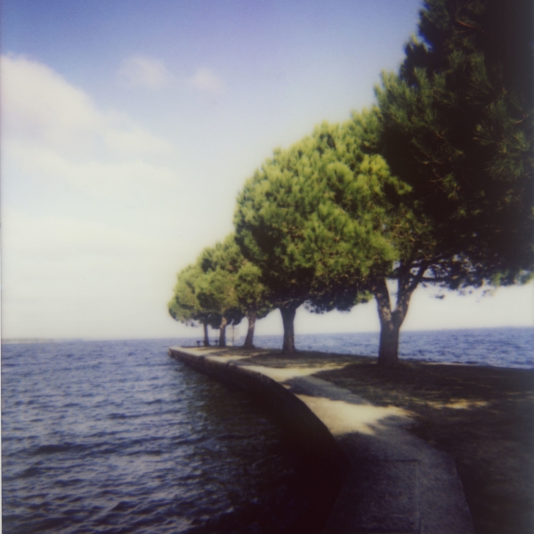Pier To Trees, arrescence系列由Dorothée Sorin in Photography拍摄大画幅胶片