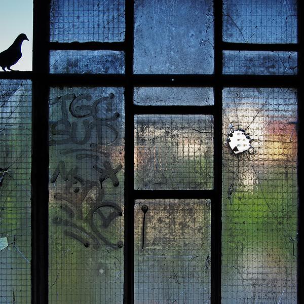 帕斯卡·m·卡登摄影数码版《鸽子蹲》