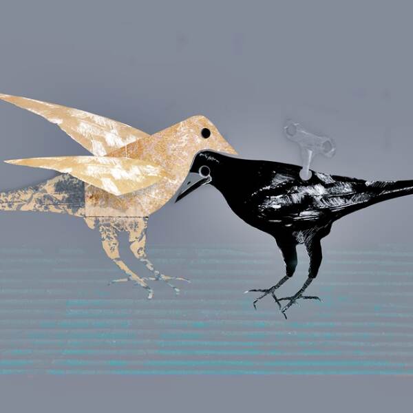 纸鸟 - 埃瓦·坎托（Ewa Kanto）的风鸟绘画数字