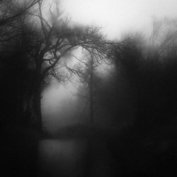 黑暗之路:Branislav Fabijanic摄于Photography Digital