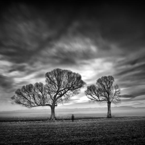 当树叶飘落的时候，由马克西米利安+克里斯蒂安Baeuchle在数码摄影