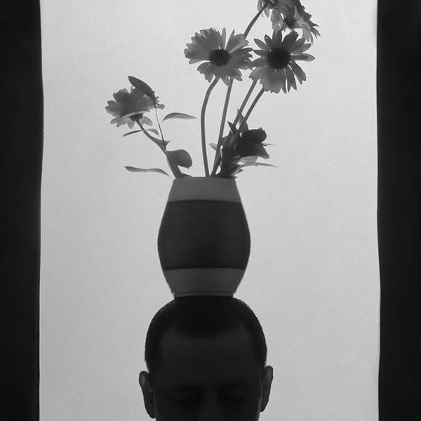 艾比·卡顿的《用鲜花说它》，数码摄影