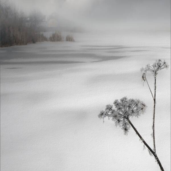 冰冻的雾湖II由吉尔伯特Claes摄影数码