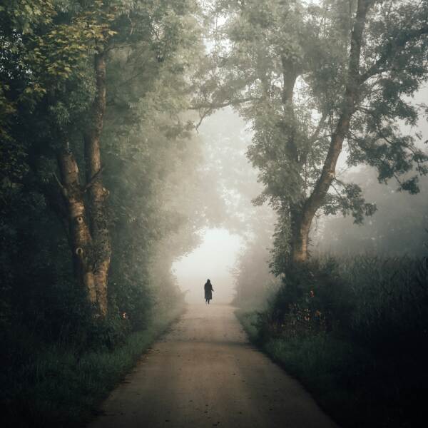 孤独的秋天漫步摄影Renate Wasinger